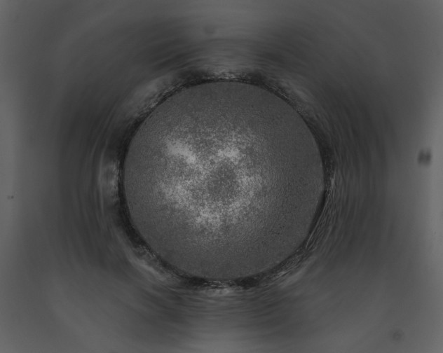 X0000091720646200708241350