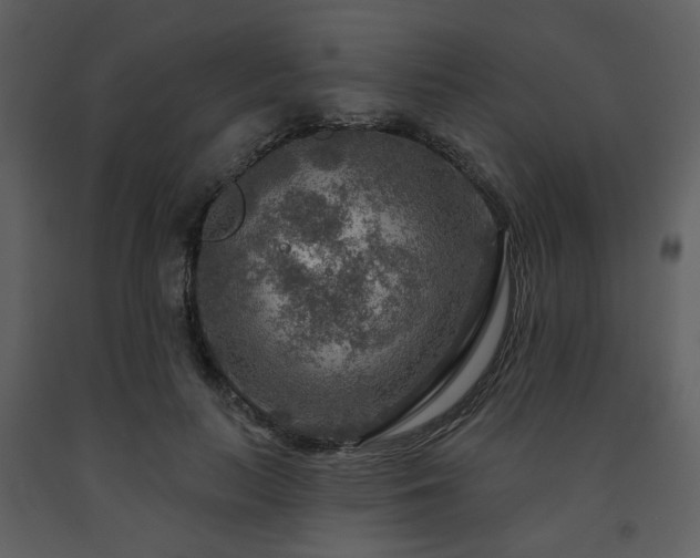X0000091720647200708241350