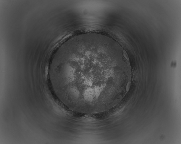 X0000091720648200708241350