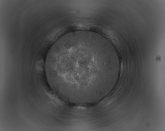 X0000091720649200708241350