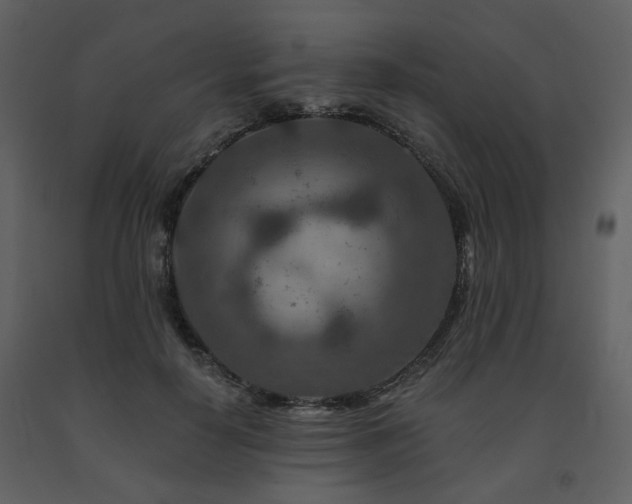X0000091720650200708241350
