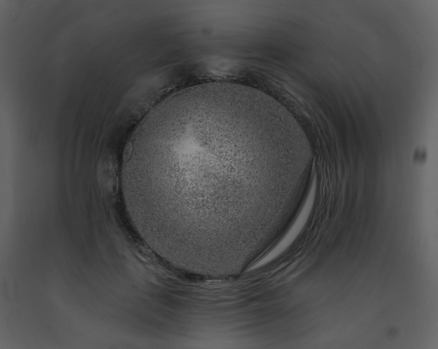X0000091720651200708241350