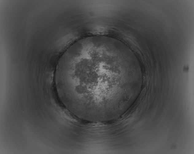 X0000091720652200708241350