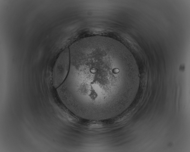 X0000091720653200708241350
