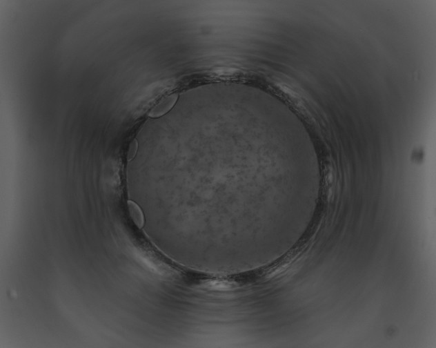 X0000091720654200708241350
