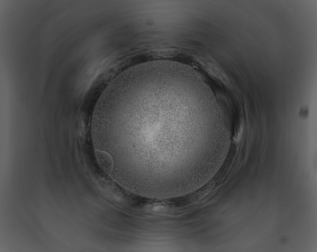 X0000091720655200708241350
