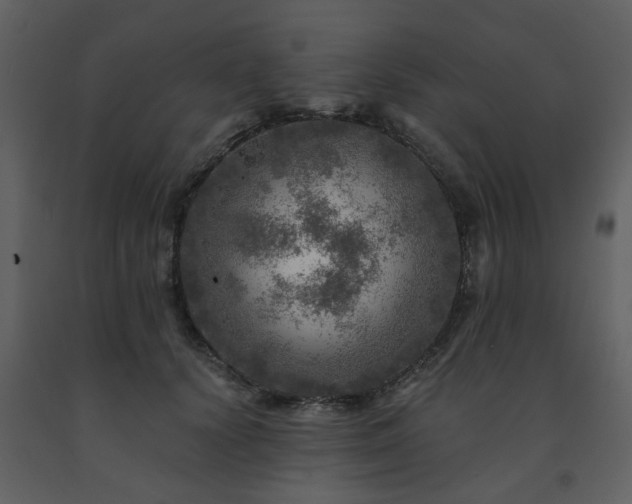 X0000091720656200708241350