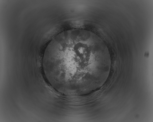 X0000091720658200708241350