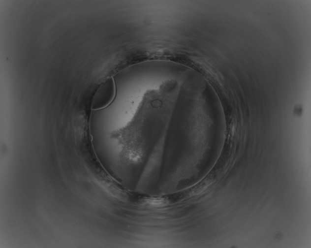 X0000091720659200708241350