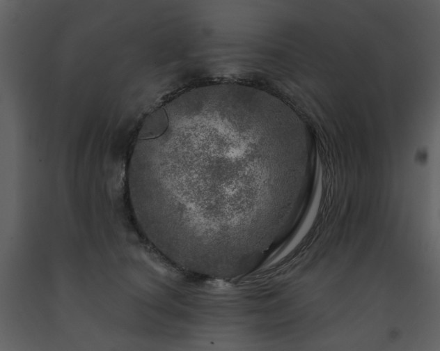 X0000091720660200708241350