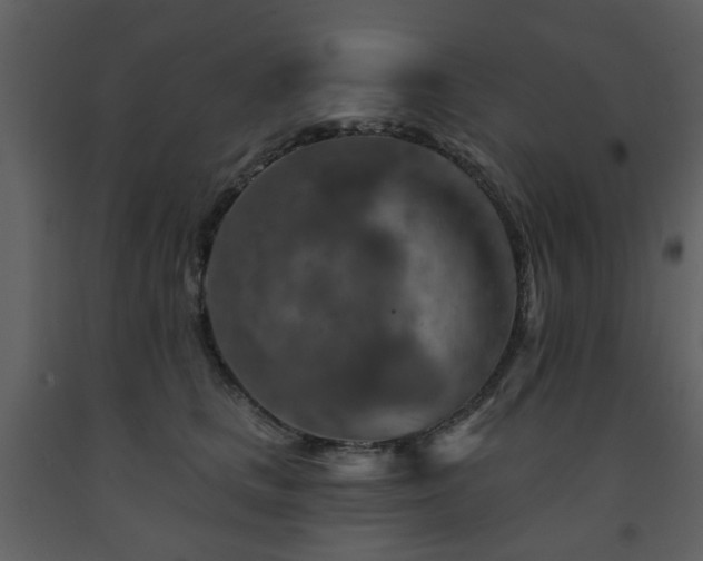 X0000091720661200708241350