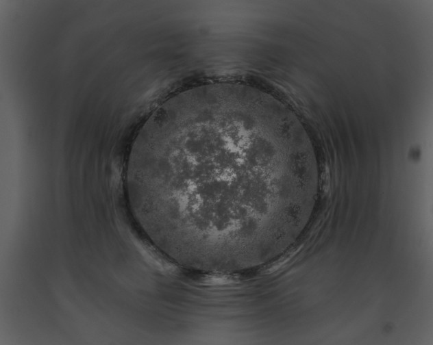 X0000091720662200708241350