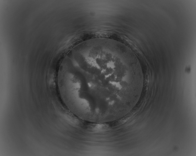 X0000091720663200708241350