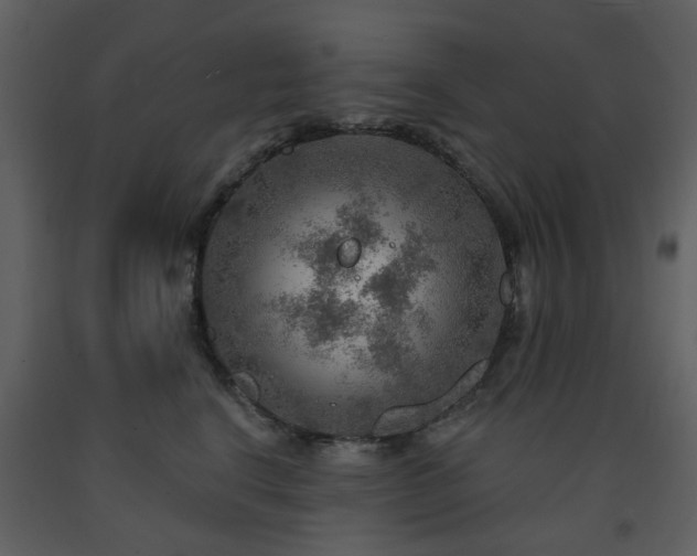 X0000091720664200708241350