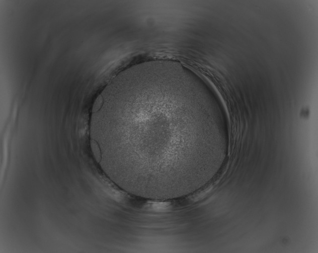 X0000091720665200708241350