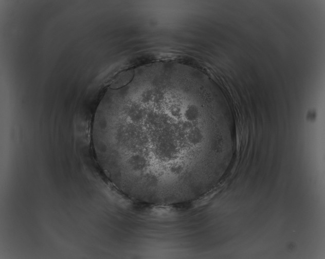 X0000091720666200708241350