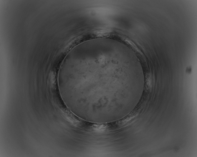 X0000091720667200708241350