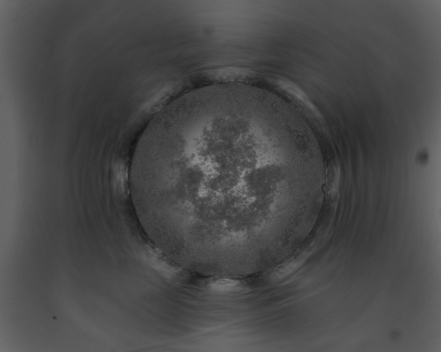 X0000091720669200708241350