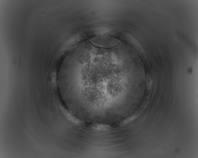 X0000091720670200708241350