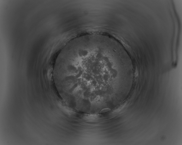 X0000091720671200708241350