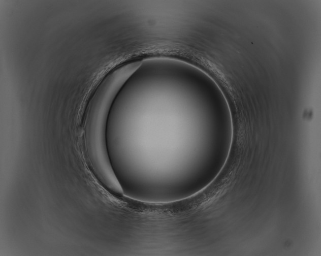 X0000091720673200708241350