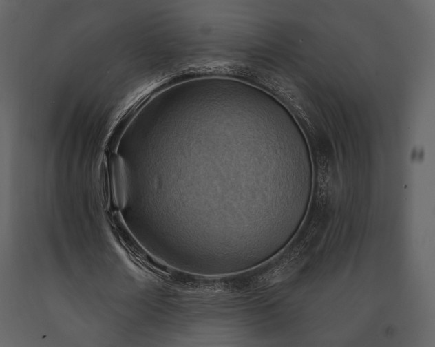 X0000091720674200708241350