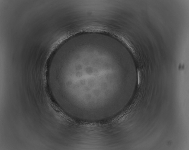X0000091720675200708241350