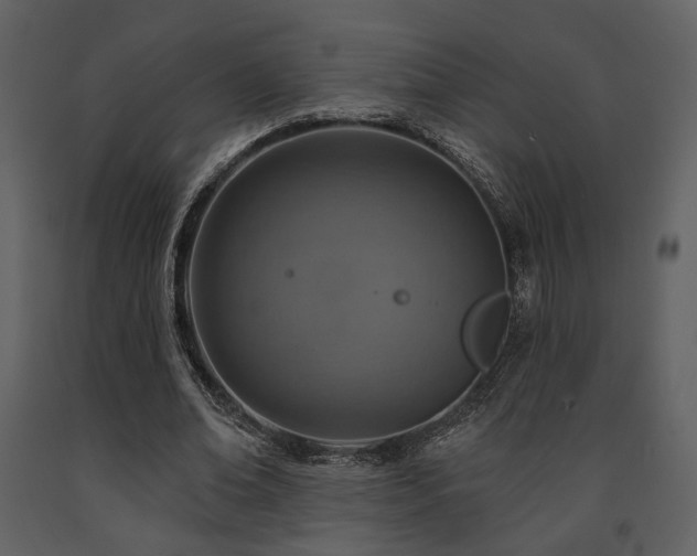 X0000091720678200708241350
