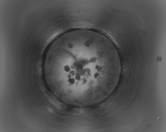 X0000091720679200708241350