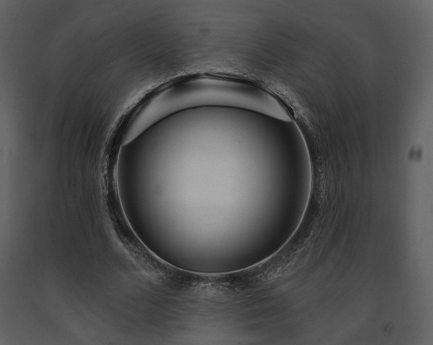 X0000091720680200708241350