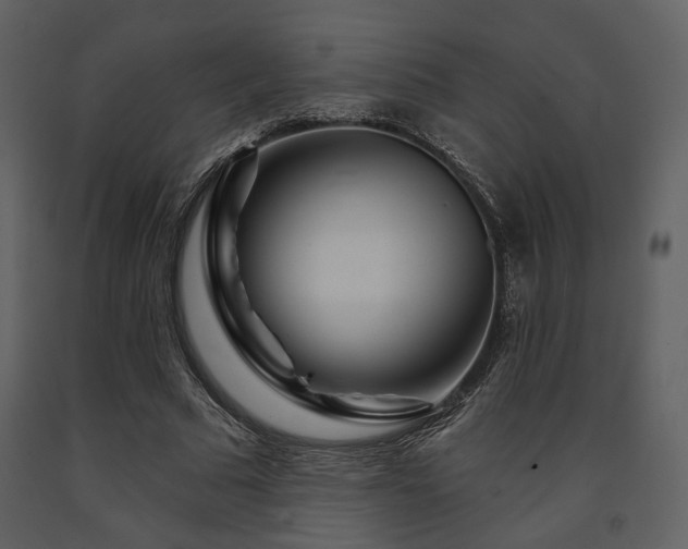 X0000091720681200708241350
