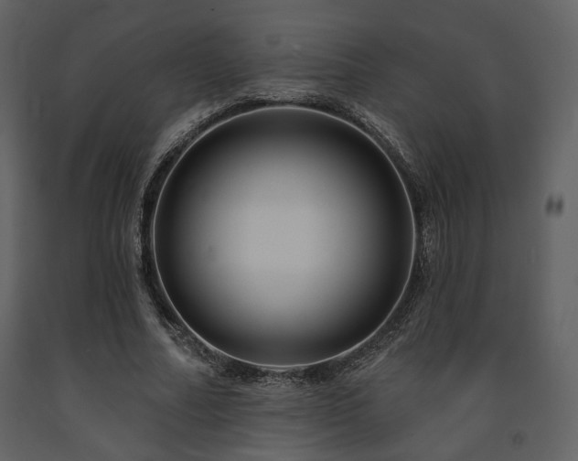 X0000091720682200708241350