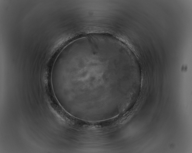 X0000091720683200708241350