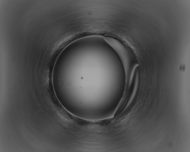 X0000091720685200708241349