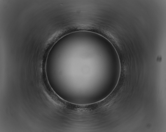X0000091720686200708241349