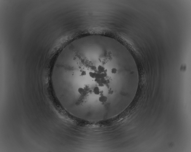 X0000091720687200708241349