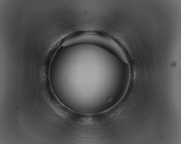 X0000091720688200708241349