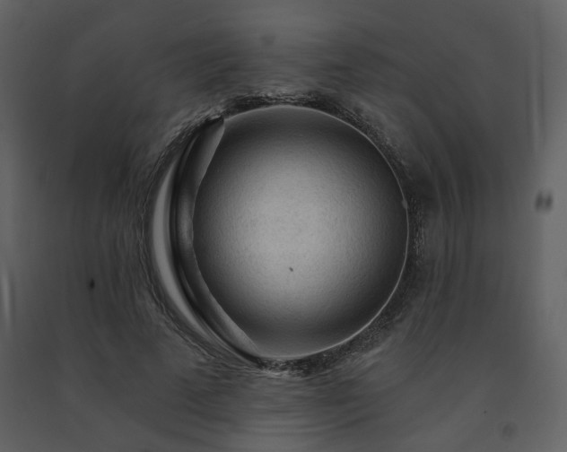 X0000091720689200708241349