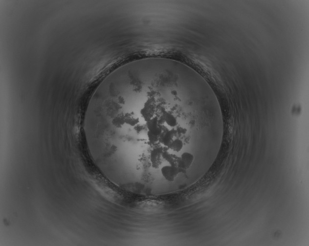 X0000091720691200708241349