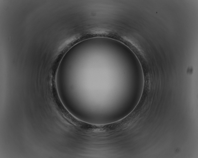 X0000091720692200708241349