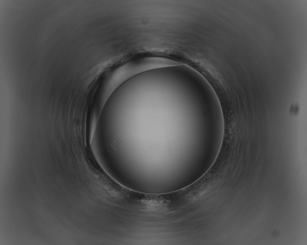 X0000091720693200708241349