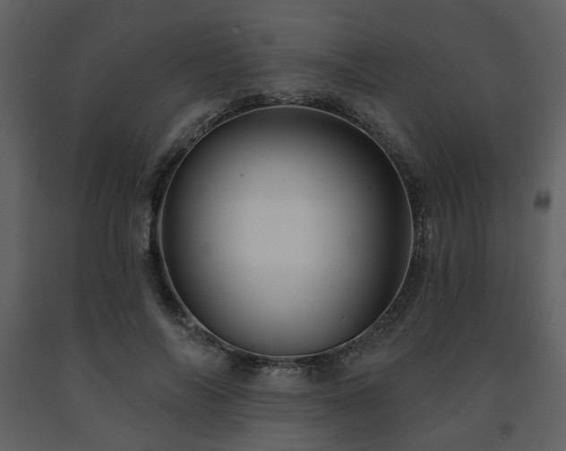 X0000091720694200708241349