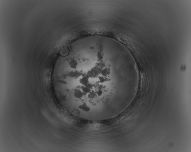 X0000091720695200708241349