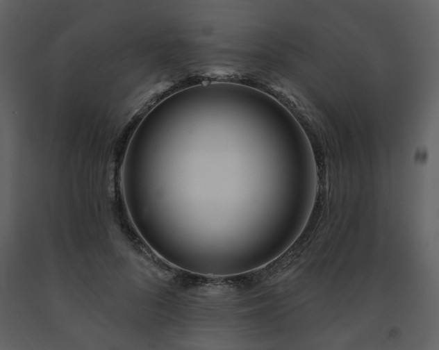 X0000091720696200708241349