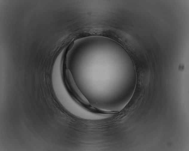 X0000091720697200708241349