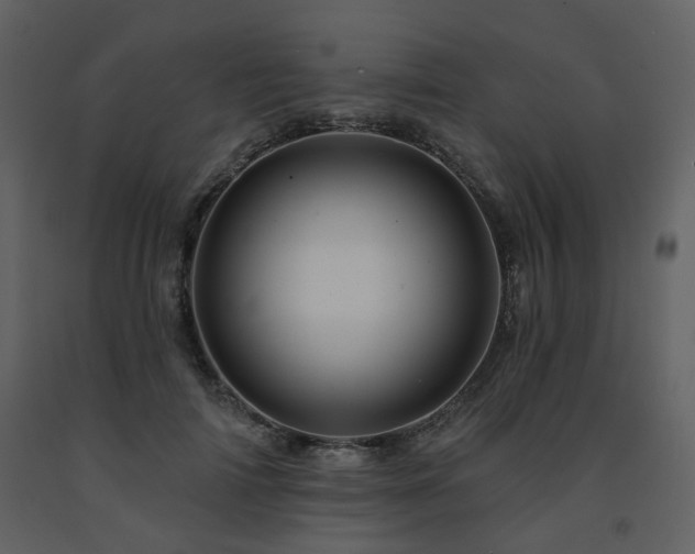 X0000091720698200708241349