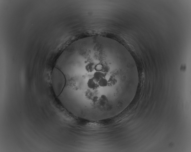 X0000091720699200708241349