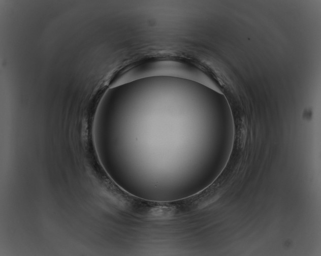 X0000091720700200708241349