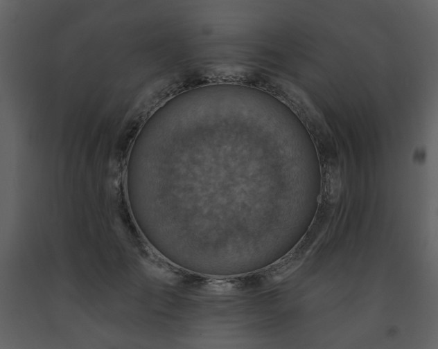 X0000091720701200708241349