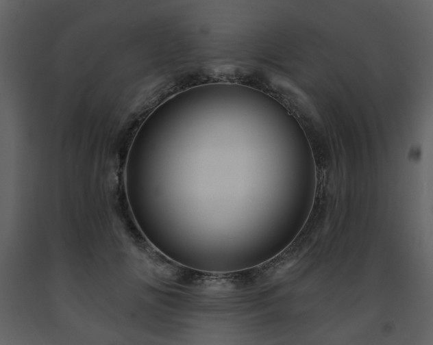 X0000091720702200708241349